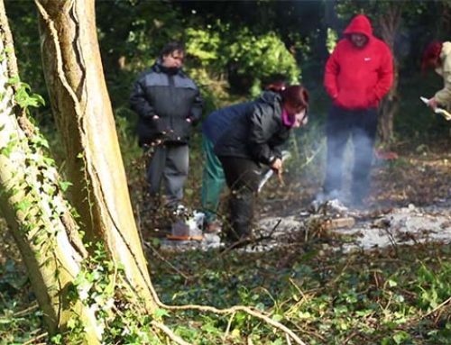 Town & Country – Forest Skills Course
