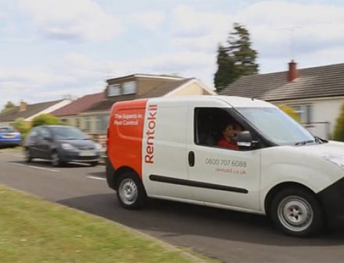 Pest Control Technician  – Rentokil